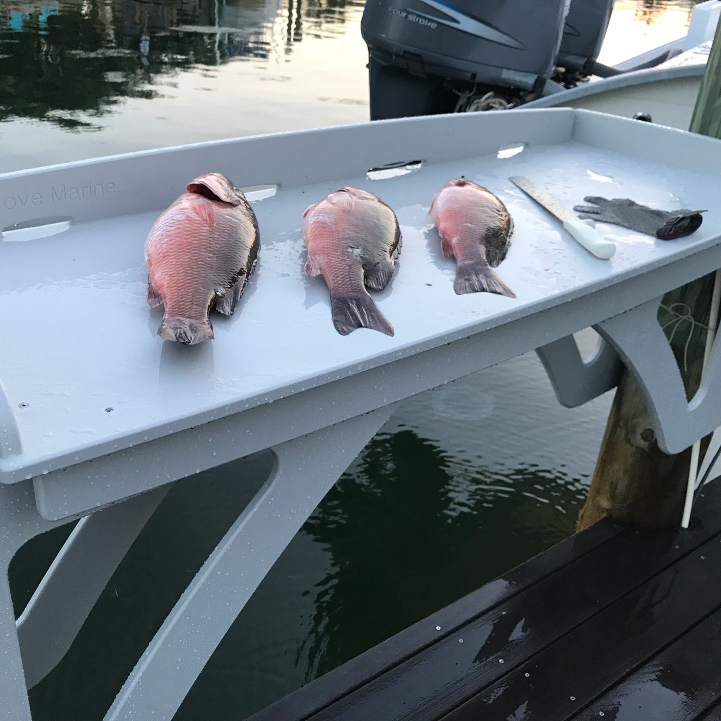 Mangrove Marine's Dock Side piling mounted fish cleaning and filet table saves dock space and keeps the message away with backside drainage holes. No drilling needed with our exclusive cantilever design. Makes a great gift from your favorite fishing person(s).